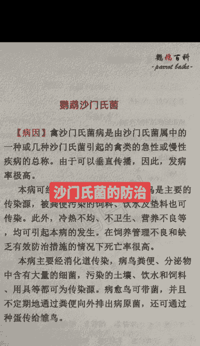 山羊沙门氏菌怎么治疗