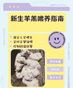 山羊圈养一天几次喂料