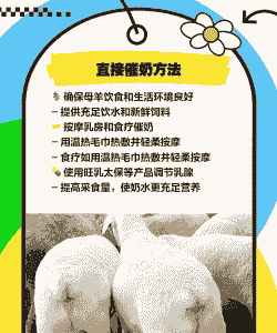 山羊喂水过多了怎么办