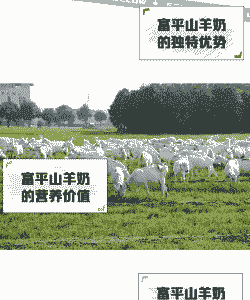 奶山羊吃什么牧草产奶多