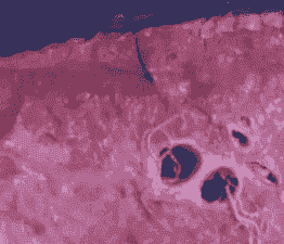 阿苯达挫对山羊肺丝虫