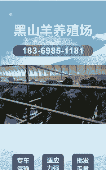 河南省努比亚山羊养殖场