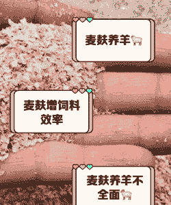 奶山羊一天喂多少麸皮