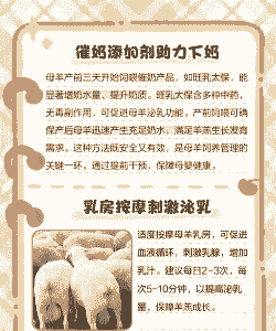 母山羊下崽吃什么奶水多