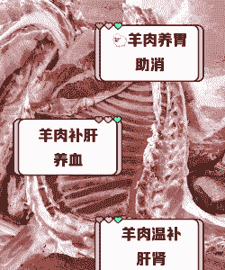 山羊肉是温性的吗