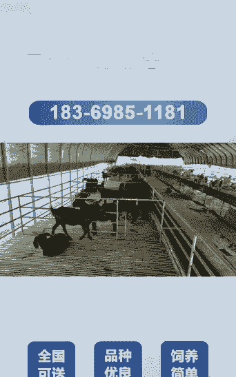 那里有买阜阳白山羊的