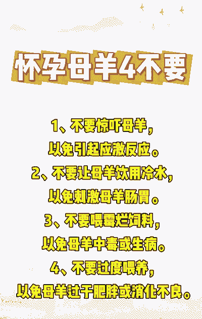 母山羊怀孕后的管理方法