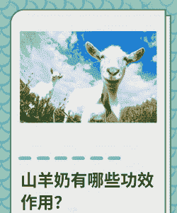 奶山羊一天要吃什么