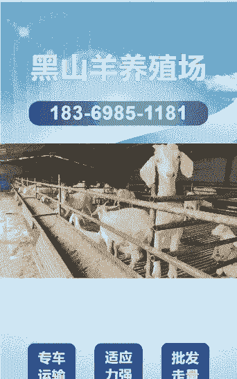 湖北什么地方有奶山羊卖