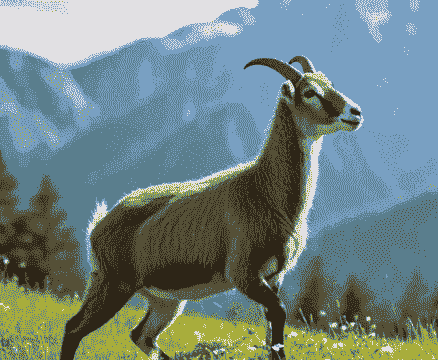 看看波欠黄山羊最重的羊