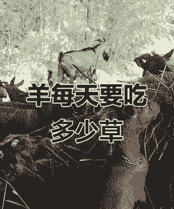 山羊一天喂几草料最好