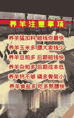 养殖山羊一头大概利润