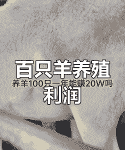 山羊一只的利润和投资