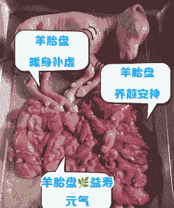 怎样能让山羊一年两胎