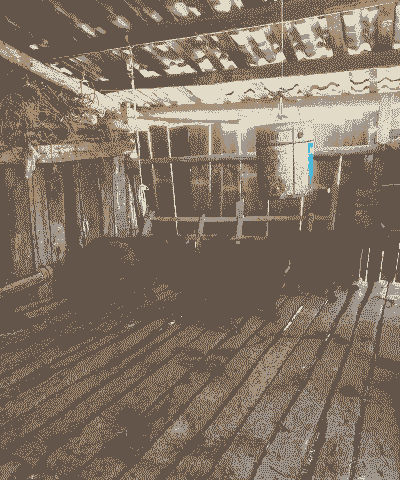 土堡根山羊一窝能产几个