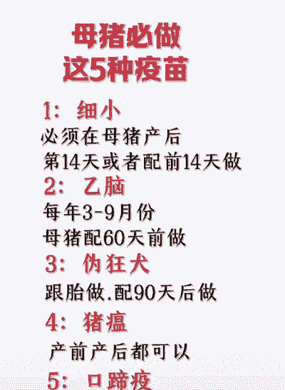 母猪产后必须打哪些针水