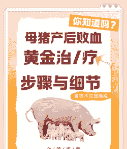 母猪产后出血的治疗