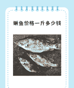 桂鱼什么价格