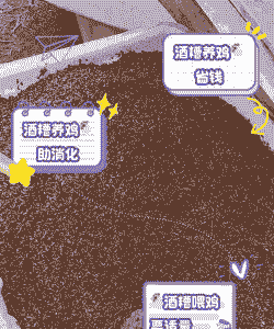 酒糟喂鸡有什么好处