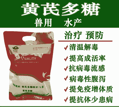 仔猪关节肿大用什么药