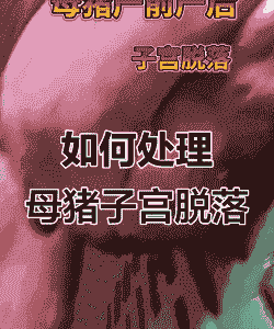 母猪脱宫是什么原因