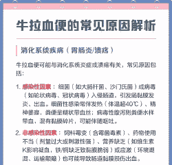 牛拉血便是什么原因