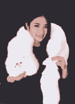 狐狸皮可以做什么