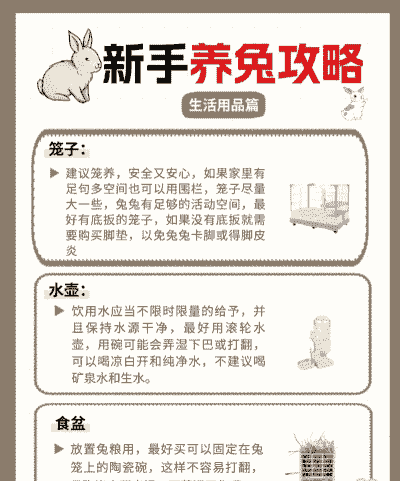 养侏儒兔要注意什么