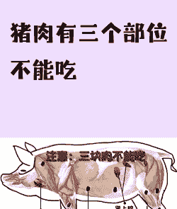 什么猪不能吃