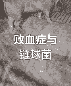 猪耳朵紫什么病