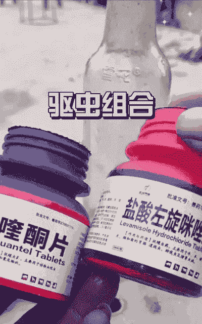 羊用什么驱虫