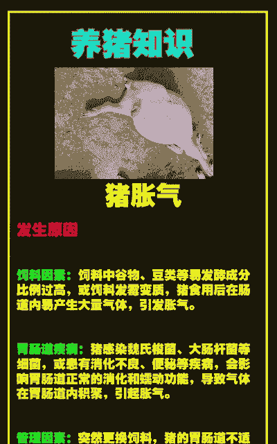 猪胀气什么原因