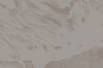 羊掉毛是什么病