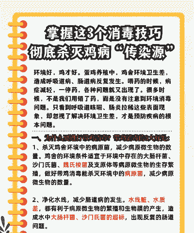 养鸡用什么消毒