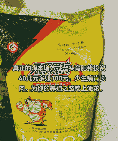 投资养殖什么赚钱