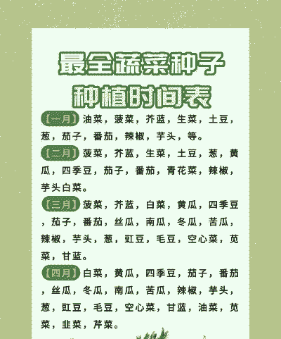 什么时候种波菜