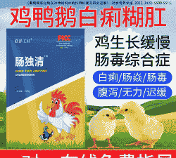 小鸡拉水吃什么药