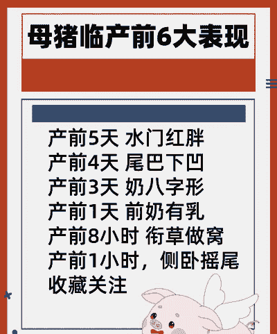 母猪早产什么原因