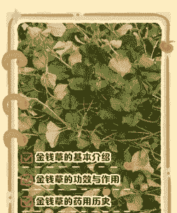 年种植什么药材最赚钱