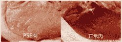 什么是pse肉
