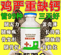 鸡缺钙吃什么药