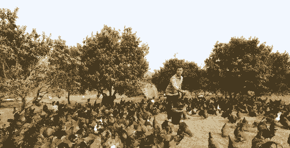 湖南养殖什么最赚钱