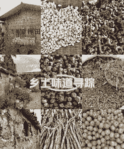 山上种什么最赚钱