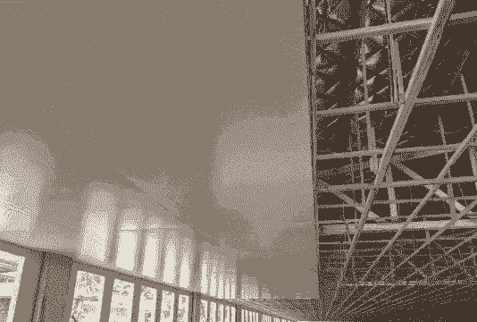 猪舍用什么吊顶