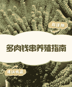 东北养什么赚钱