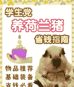 养猪需要准备什么