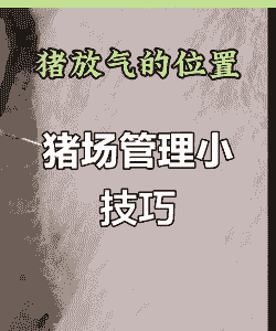 猪圈用什么排气