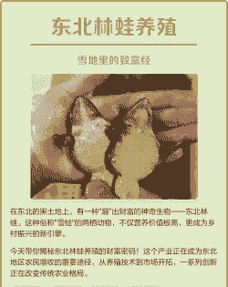 东北养殖什么最赚钱