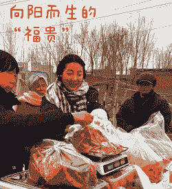 农村冬天做什么赚钱