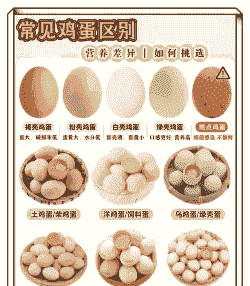 信息鸡蛋什么意思